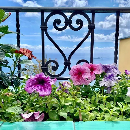 Hébergement de vacances Anna Positano